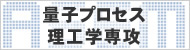 �ʎq�v���Z�X���H�w��U